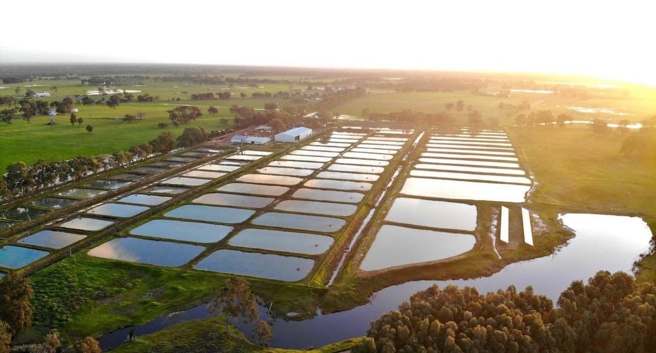 Aerial view of the marron ponds at sunset