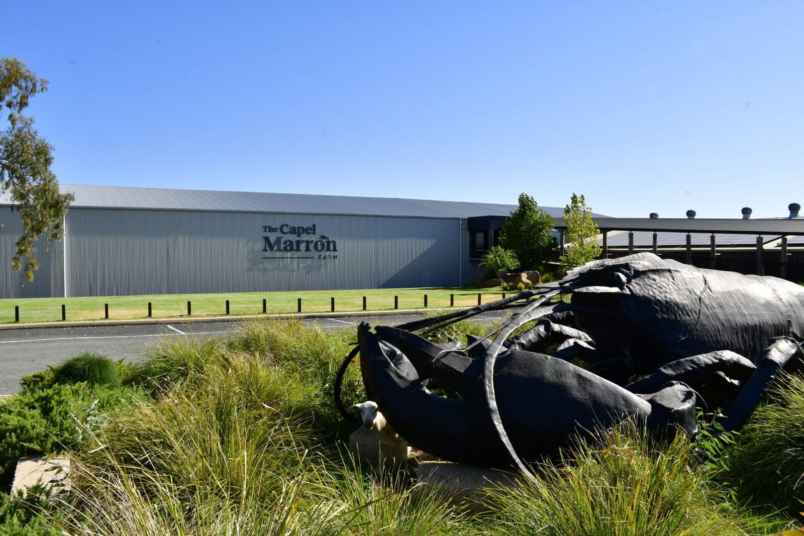 The Capel Marron Farm venue, with its giant marron sculpture out front